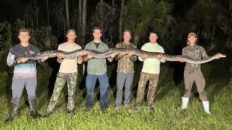 Florida teen participating in Florida Python Challenge nabs massive 15-foot python in Everglades